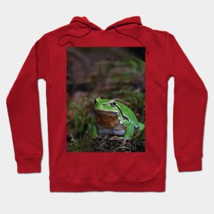 r675/  A Kind Frog Palmé -Grenouille verte palmé  " simply life " to Okaio Créations - Olavia-Olao Hoodie